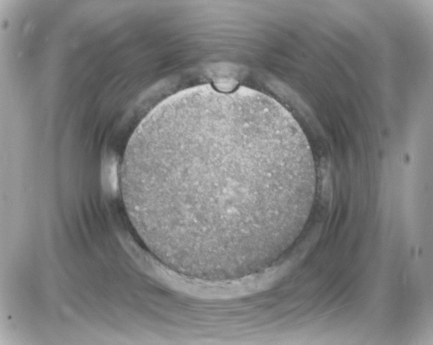 X0000085250042200704092100