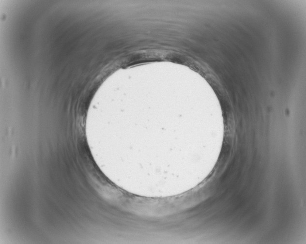 X0000085250045200704092100