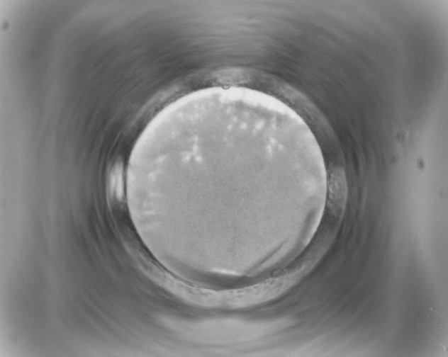 X0000085250046200704092100