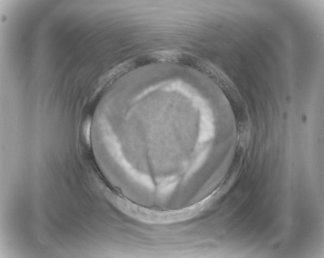 X0000085250047200704092100