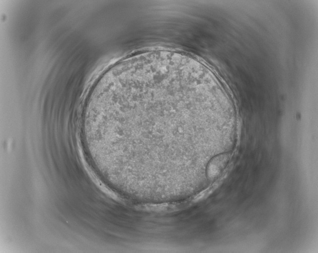 X0000085250049200704092059