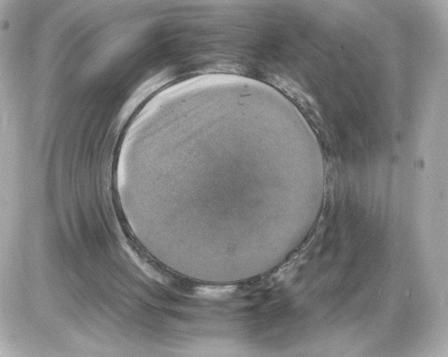 X0000085250051200704092059