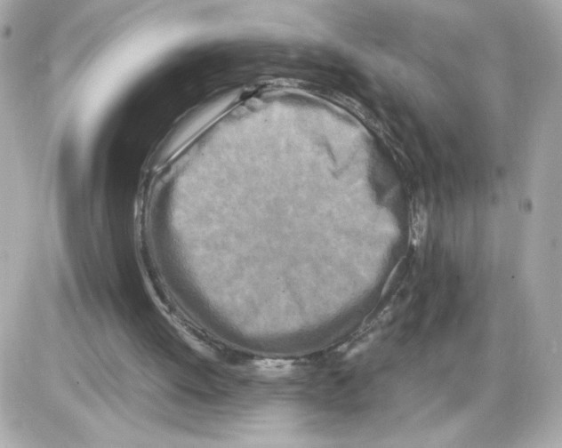 X0000085250052200704092059