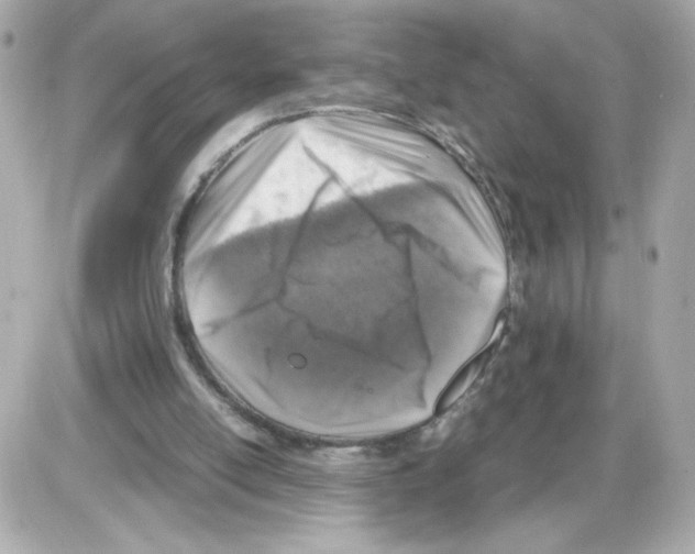 X0000085250054200704092059