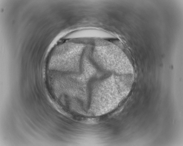 X0000085250056200704092059