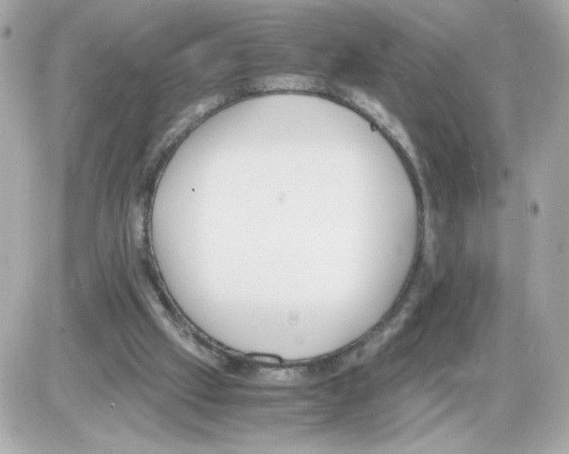 X0000085250057200704092059