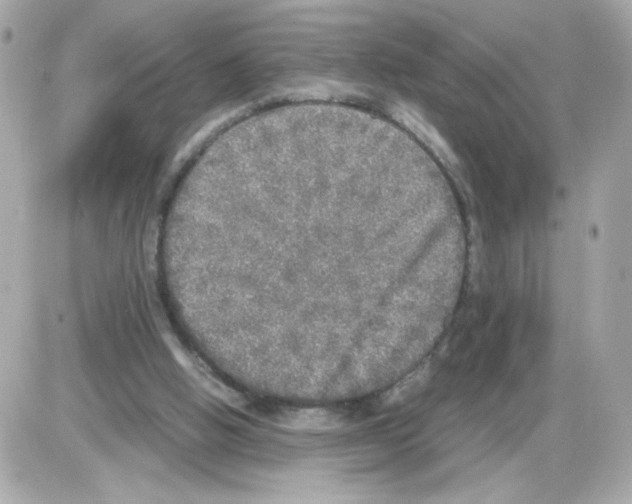 X0000085250058200704092059