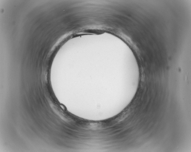 X0000085250060200704092059