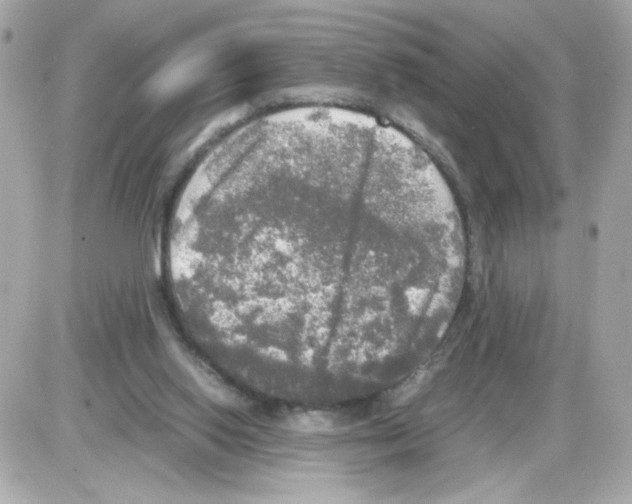 X0000085250062200704092059