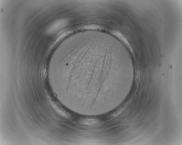 X0000085250063200704092059