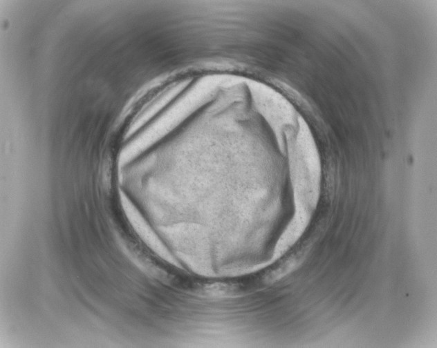 X0000085250064200704092059