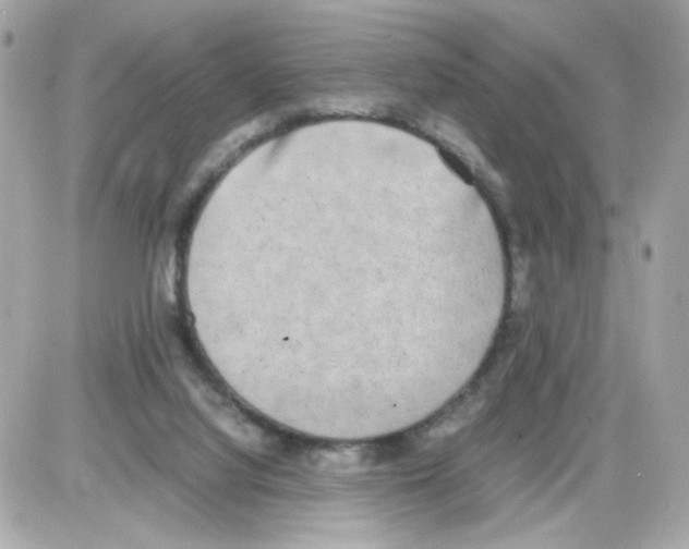 X0000085250068200704092059