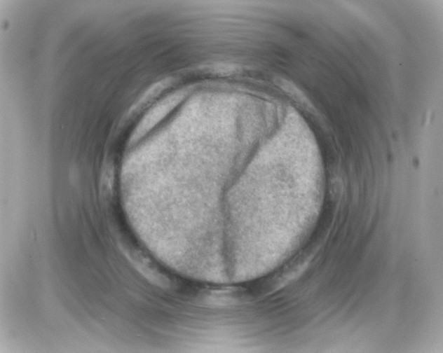 X0000085250072200704092059