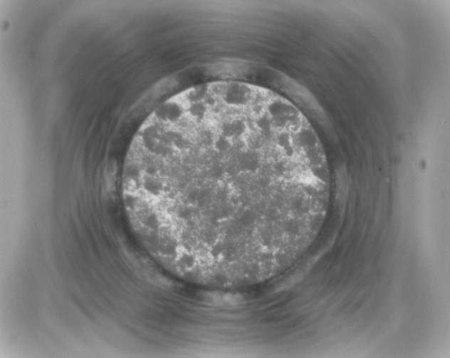 X0000085250073200704092059