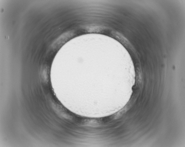 X0000085250074200704092059