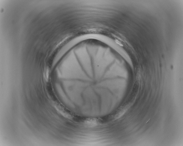 X0000085250076200704092059