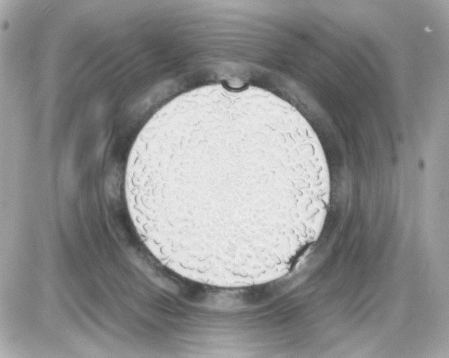 X0000085250078200704092059