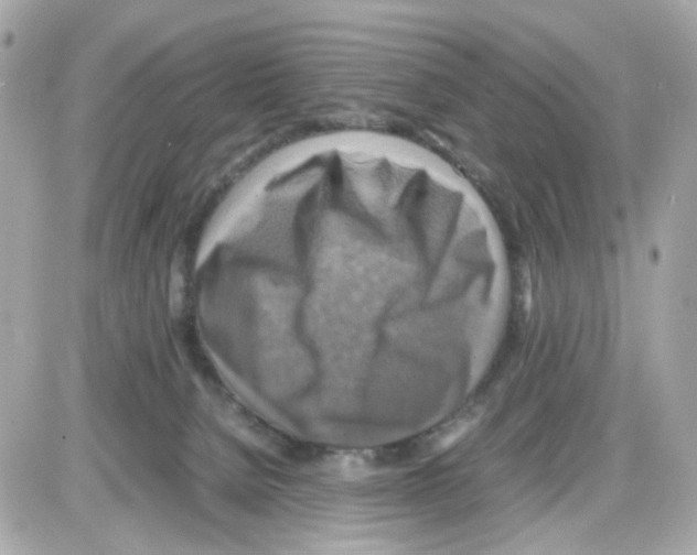 X0000085250080200704092100