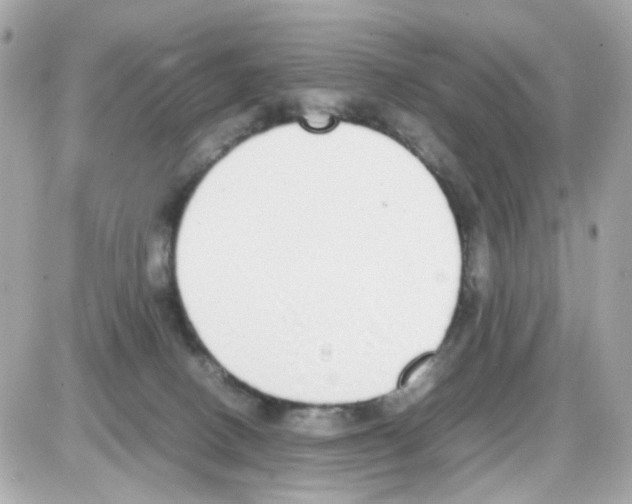 X0000085250082200704092100