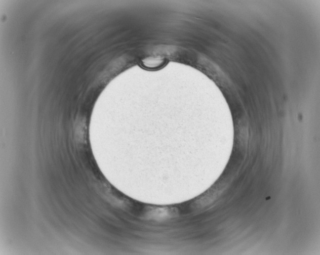 X0000085250083200704092100