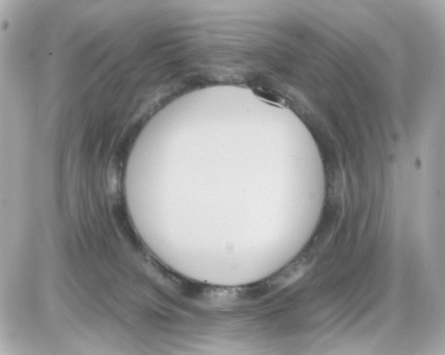 X0000085250084200704092100