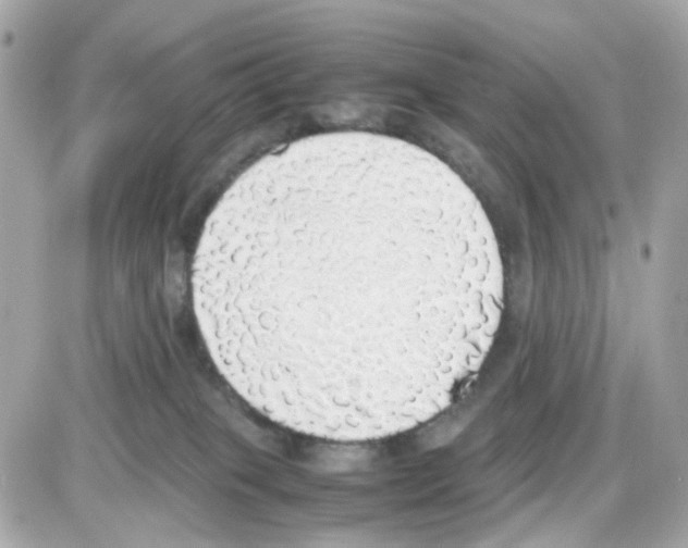 X0000085250085200704092100