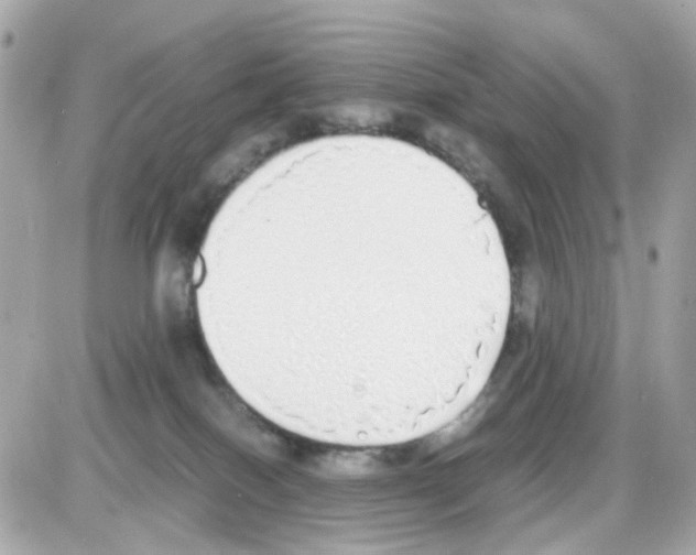 X0000085250086200704092100