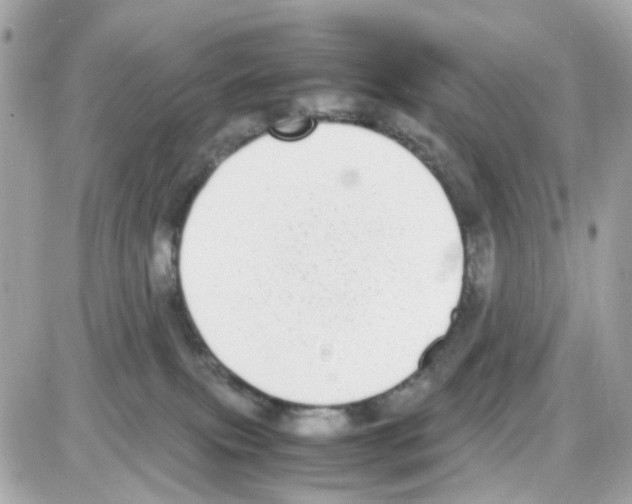 X0000085250087200704092100