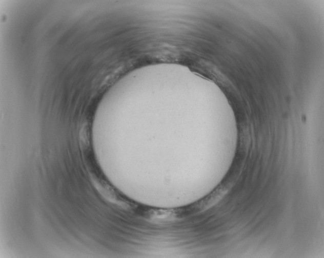 X0000085250088200704092100