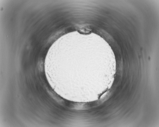 X0000085250090200704092100