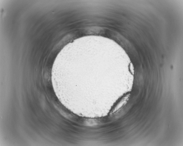 X0000085250091200704092100