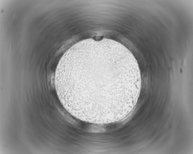 X0000085250094200704092100