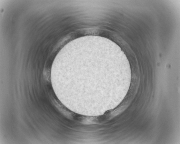 X0000085250096200704092100