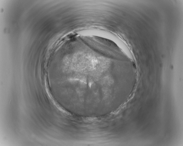 X0000085250097200704092059