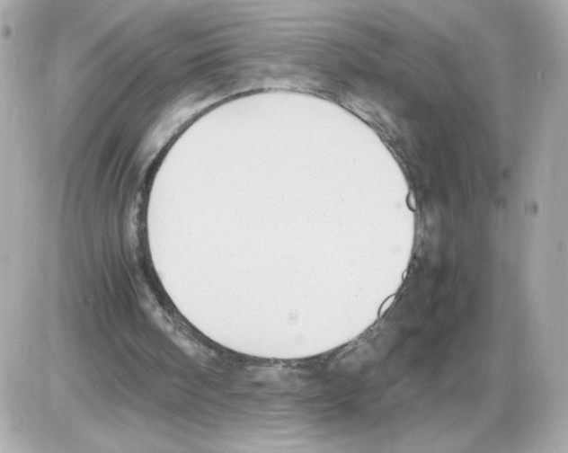 X0000085250098200704092059