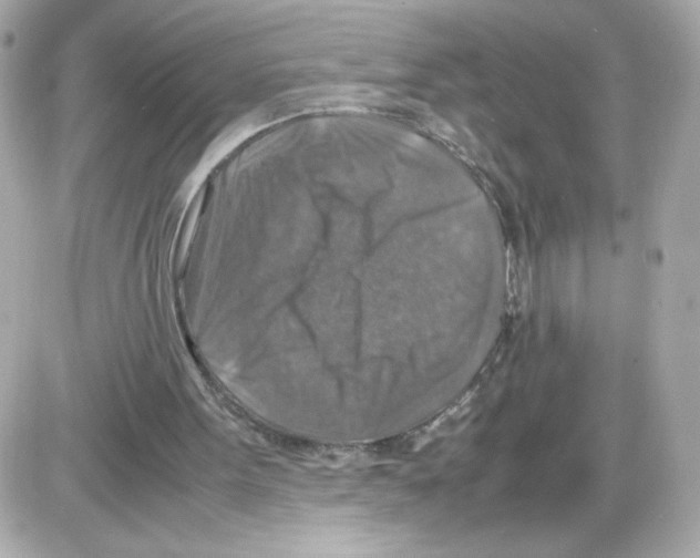 X0000085250099200704092059