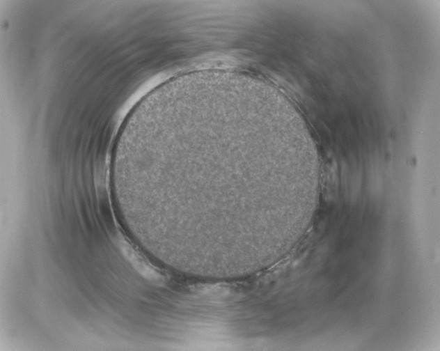 X0000085250100200704092059