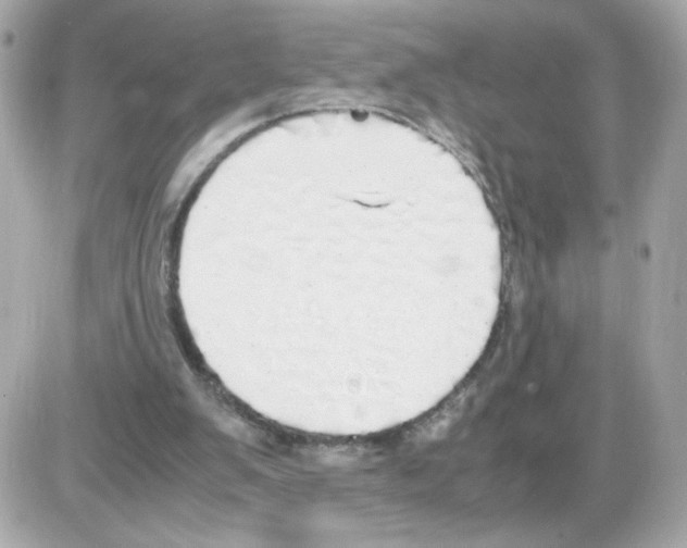 X0000085250103200704092059