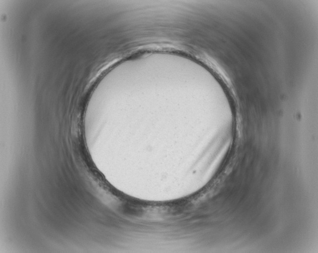 X0000085250105200704092059