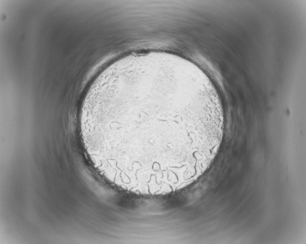 X0000085250107200704092059