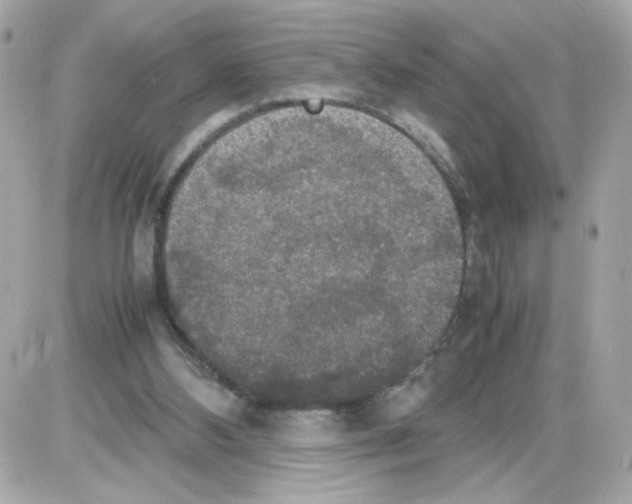 X0000085250108200704092059