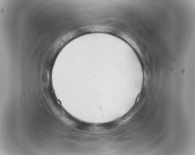 X0000085250109200704092059