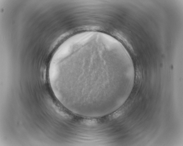 X0000085250110200704092059