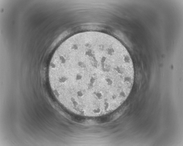 X0000085250111200704092059