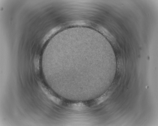 X0000085250112200704092059