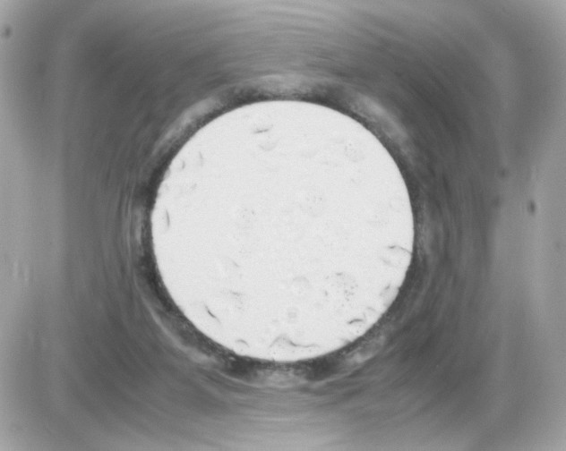 X0000085250115200704092059