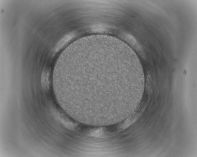 X0000085250116200704092059