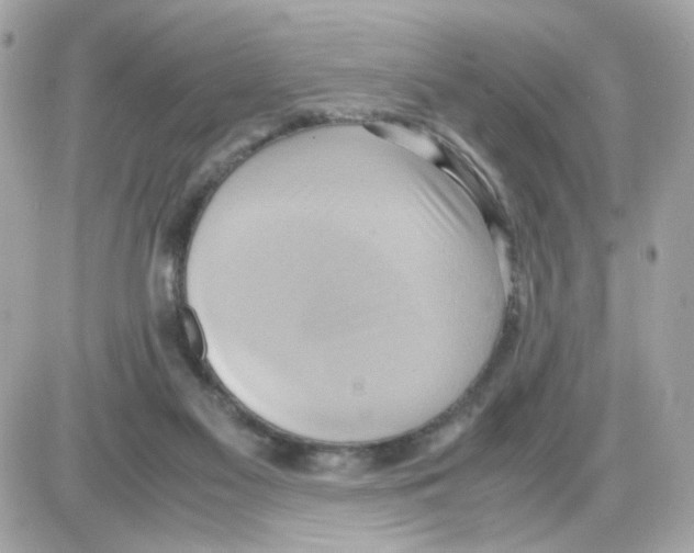 X0000085250117200704092059