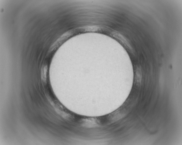 X0000085250118200704092059