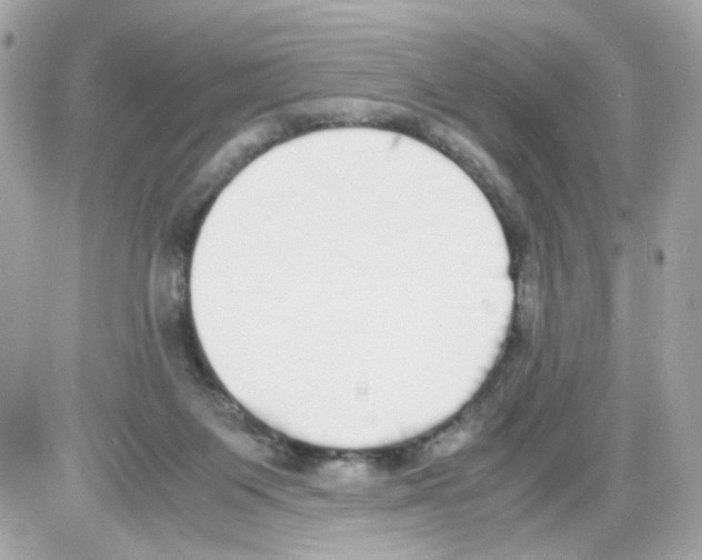 X0000085250119200704092059